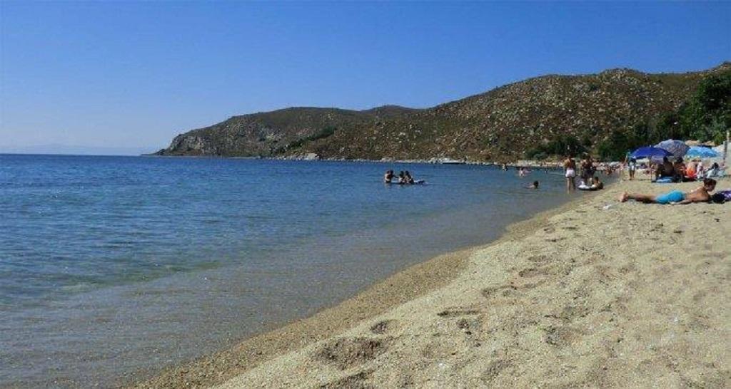 Avsa Cinar Apart Apart otel Türkeli Dış mekan fotoğraf