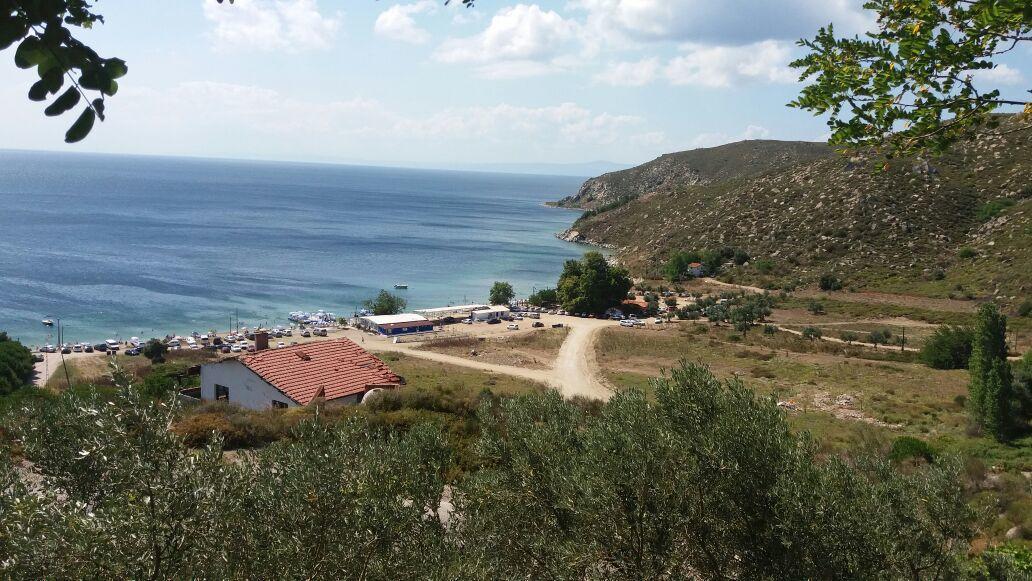 Avsa Cinar Apart Apart otel Türkeli Dış mekan fotoğraf