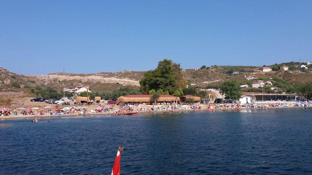 Avsa Cinar Apart Apart otel Türkeli Dış mekan fotoğraf